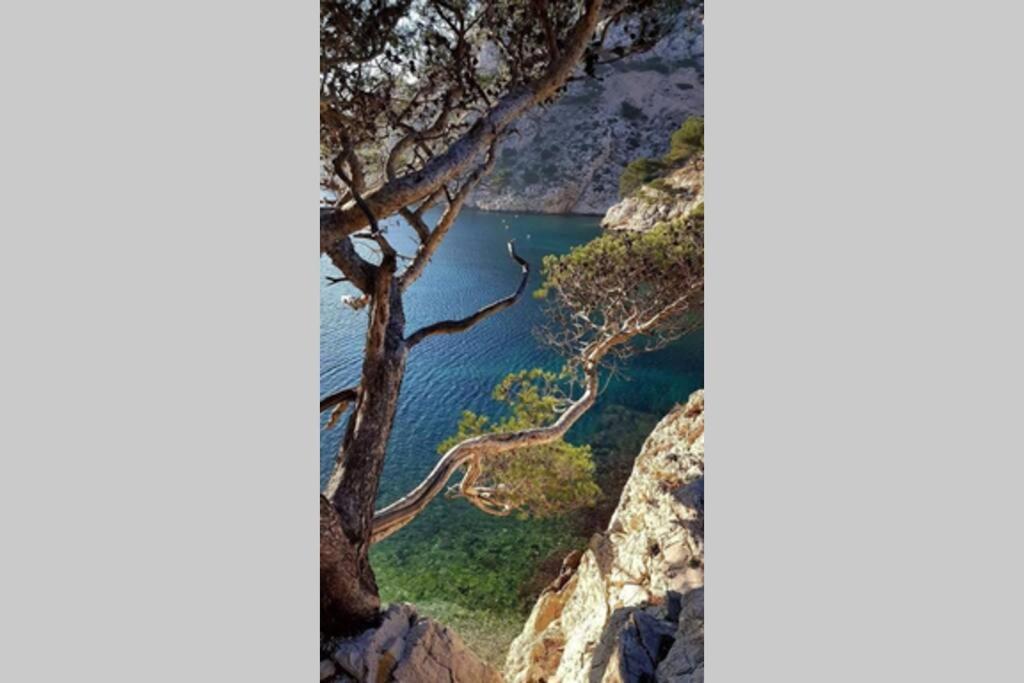 Suite Sur La Mer Marseille Corniche 외부 사진